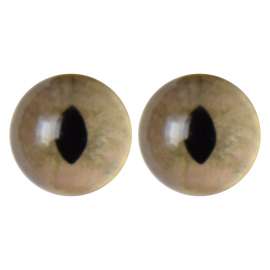 Глазки для игрушек 12 мм №0222
