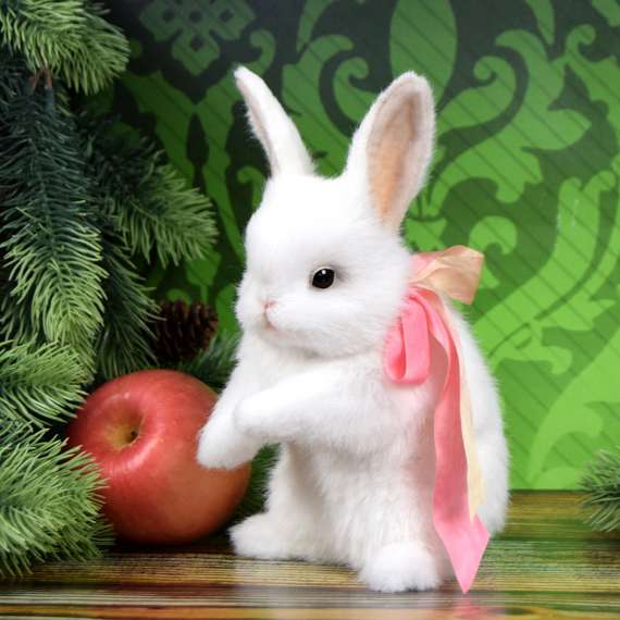 Little white bunny