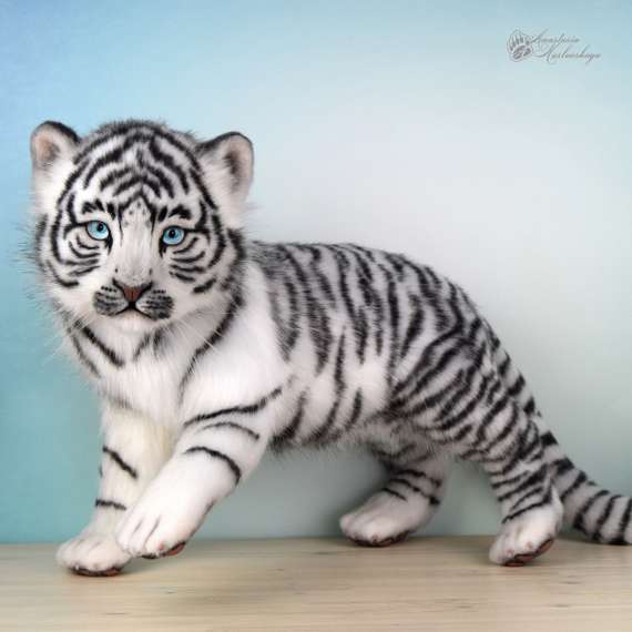 Белый тигренок