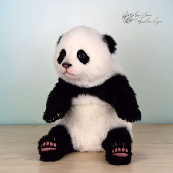 Panda baby